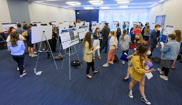 Students and faculty review student research posters on easels at the Undergraduate Research Conference