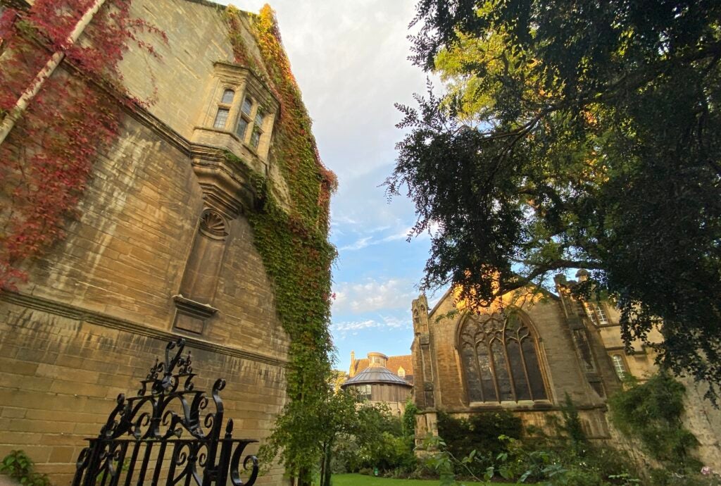 An ivy-covered building in front of a garden and church.