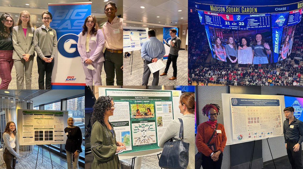 A collage of photographs of students and faculty in a research conference setting, including research posters and presentations
